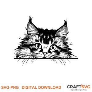 Peeking American Longhair cat SVG PNG design for Cricut and Silhouette, instant download