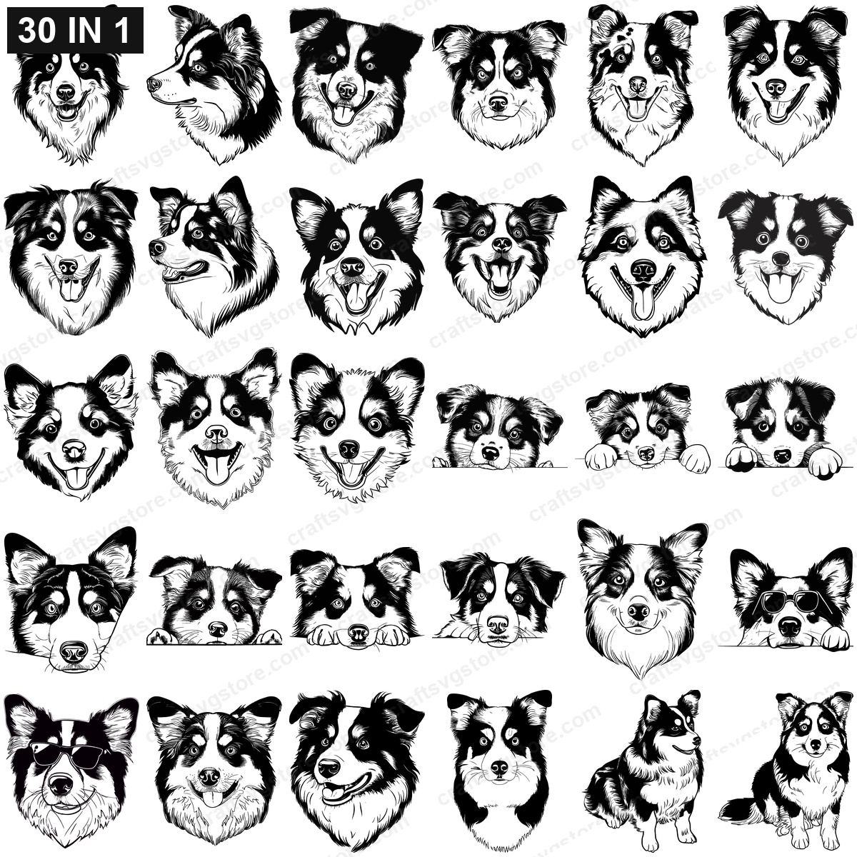 Australian Shepherd SVG bundle preview - all Australian Shepherd dog cut file designs included