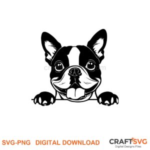 Boston Terrier SVG PNG - Boston Terrier peeking dog design for Cricut and Silhouette, instant digital download