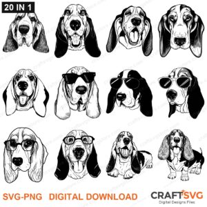 Basset Hound SVG bundle - Basset Hound dog designs for Cricut and Silhouette, instant digital download