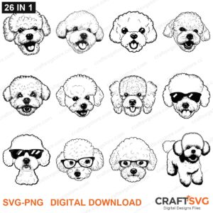 Bichon SVG bundle - Bichon dog designs for Cricut and Silhouette, instant digital download