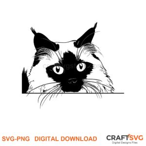 Peeking Birman cat SVG PNG design for Cricut and Silhouette, instant download