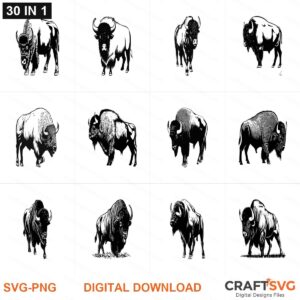Bison SVG | Bison PNG | Bison SVG Bundle | Digital Download Designs for Cricut and Silhouette | Commercial Use