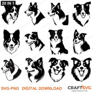Border Collie SVG bundle - Border Collie dog designs for Cricut and Silhouette, instant digital download