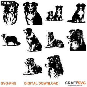 Border Collie SVG PNG bundle - Border Collie designs for Cricut and Silhouette, instant digital download