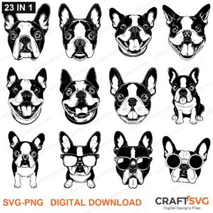 Boston Terrier SVG bundle - Boston Terrier dog designs for Cricut and Silhouette, instant digital download