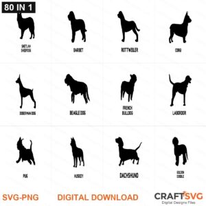 Breed Dogs Bundle SVG | Breed Dogs Bundle PNG | Breed Dogs Bundle SVG Bundle | Digital Download Designs for Cricut and Silhouette | Commercial Use