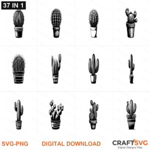 Cactus SVG | Cactus PNG | Cactus SVG Bundle | Digital Download Designs for Cricut and Silhouette | Commercial Use