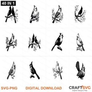 Cardinal SVG | Cardinal PNG | Cardinal SVG Bundle | Digital Download Designs for Cricut and Silhouette | Commercial Use