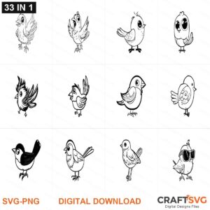 Cartoon Bird Bundle SVG | Cartoon Bird Bundle PNG | Cartoon Bird Bundle SVG Bundle | Digital Download Designs for Cricut and Silhouette | Commercial Use