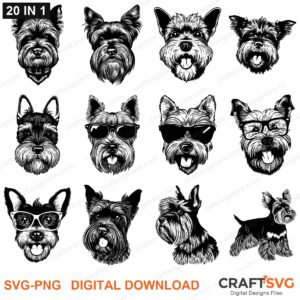 Cesky Terrier SVG bundle - Cesky Terrier dog designs for Cricut and Silhouette, instant digital download