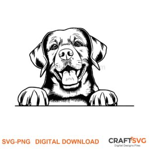 Chesapeake Bay Retriever SVG PNG - Chesapeake Bay Retriever peeking dog design for Cricut and Silhouette, instant digital download