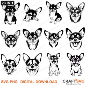 Chihuahua SVG bundle - Chihuahua dog designs for Cricut and Silhouette, instant digital download