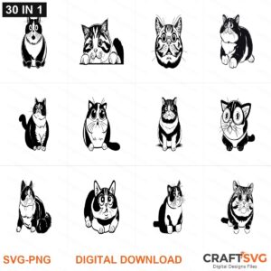 Chonk_Cat_30_in_1 SVG | Chonk_Cat_30_in_1 PNG | Chonk_Cat_30_in_1 SVG Bundle | Digital Download Designs for Cricut and Silhouette | Commercial Use