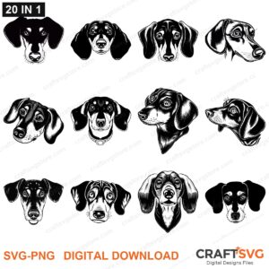 Dachshund SVG bundle - Dachshund dog designs for Cricut and Silhouette, instant digital download
