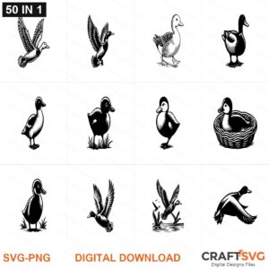 Duck SVG | Duck PNG | Duck SVG Bundle | Digital Download Designs for Cricut and Silhouette | Commercial Use
