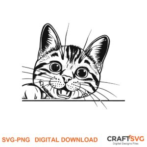 Peeking European Shorthair cat SVG PNG design for Cricut and Silhouette, instant download