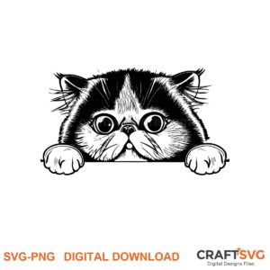 Peeking Exotic Shorthair cat SVG PNG design for Cricut and Silhouette, instant download