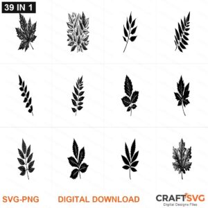 FalleLeaves SVG | FalleLeaves PNG | FalleLeaves SVG Bundle | Digital Download Designs for Cricut and Silhouette | Commercial Use