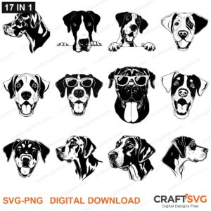 Great Dane SVG bundle - Great Dane dog designs for Cricut and Silhouette, instant digital download