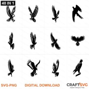Hawk SVG | Hawk PNG | Hawk SVG Bundle | Digital Download Designs for Cricut and Silhouette | Commercial Use