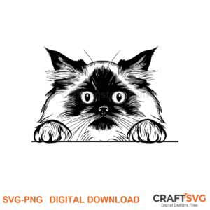 Peeking Himalayan cat SVG PNG design for Cricut and Silhouette, instant download