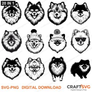 Keeshond SVG bundle - Keeshond dog designs for Cricut and Silhouette, instant digital download