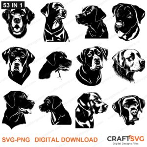 Labrador Retriever SVG bundle - Labrador Retriever dog designs for Cricut and Silhouette, instant digital download