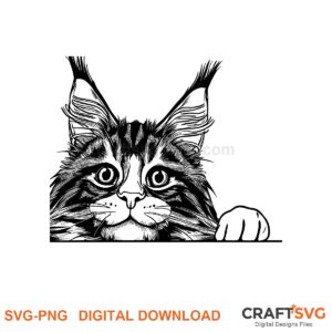 Peeking Maine Coon cat SVG PNG design for Cricut and Silhouette, instant download