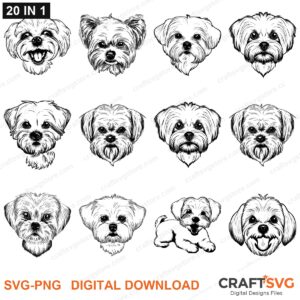 Maltese SVG bundle - Maltese dog designs for Cricut and Silhouette, instant digital download
