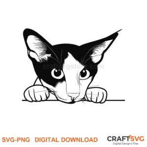 Peeking Oriental Bicolor cat SVG PNG design for Cricut and Silhouette, instant download