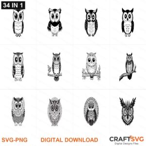 Owl SVG | Owl PNG | Owl SVG Bundle | Digital Download Designs for Cricut and Silhouette | Commercial Use