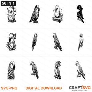 Parrot SVG | Parrot PNG | Parrot SVG Bundle | Digital Download Designs for Cricut and Silhouette | Commercial Use