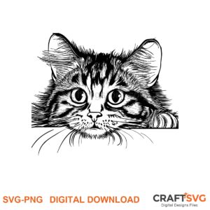 Peeking Pixie-Bob cat SVG PNG design for Cricut and Silhouette, instant download