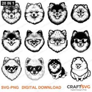 Pomeranian SVG bundle - Pomeranian dog designs for Cricut and Silhouette, instant digital download