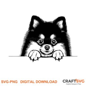 Pomeranian SVG PNG - Pomeranian peeking dog design for Cricut and Silhouette, instant digital download