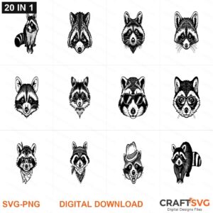 Racoon SVG | Racoon PNG | Racoon SVG Bundle | Digital Download Designs for Cricut and Silhouette | Commercial Use