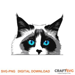 Peeking Ragdoll cat SVG PNG design for Cricut and Silhouette, instant download