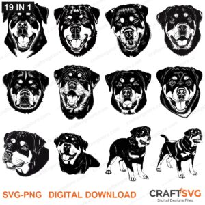 Rottweiler SVG bundle - Rottweiler dog designs for Cricut and Silhouette, instant digital download
