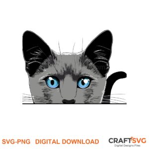 Peeking Russian Blue cat SVG PNG design for Cricut and Silhouette, instant download