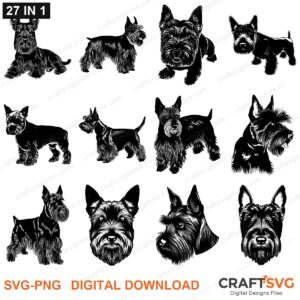 Scottish Terrier SVG bundle - Scottish Terrier dog designs for Cricut and Silhouette, instant digital download