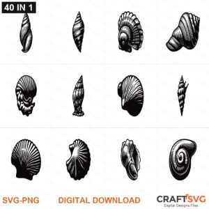 Sea shell SVG | Sea shell PNG | Sea shell SVG Bundle | Digital Download Designs for Cricut and Silhouette | Commercial Use