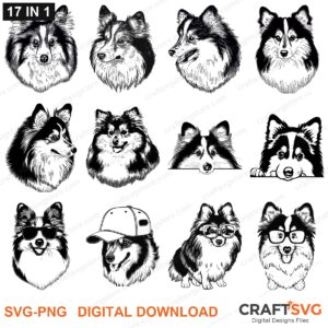 Shetland Sheepdog SVG bundle - Shetland Sheepdog dog designs for Cricut and Silhouette, instant digital download