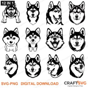 Siberian Husky SVG bundle - Siberian Husky dog designs for Cricut and Silhouette, instant digital download