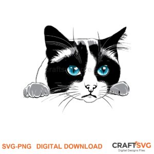 Peeking Snowshoe cat SVG PNG design for Cricut and Silhouette, instant download