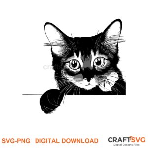Peeking Somali cat SVG PNG design for Cricut and Silhouette, instant download