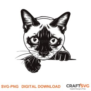 Peeking Thai Siamese cat SVG PNG design for Cricut and Silhouette, instant download