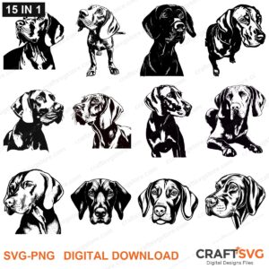 Vizsla SVG bundle - Vizsla dog designs for Cricut and Silhouette, instant digital download