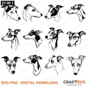 Whippet SVG bundle - Whippet dog designs for Cricut and Silhouette, instant digital download