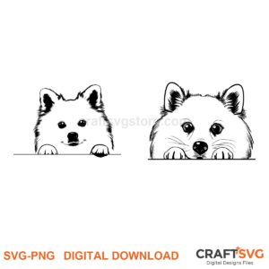 American Eskimo SVG PNG - American Eskimo peeking dog design for Cricut and Silhouette, instant digital download